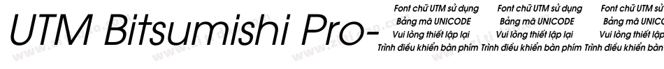 UTM Bitsumishi Pro字体转换